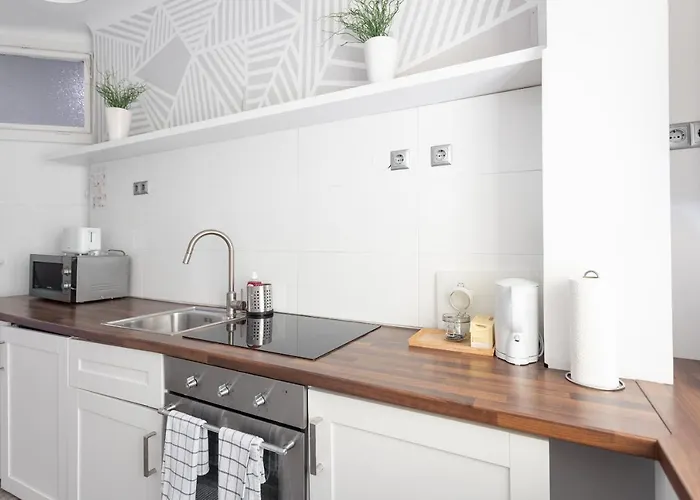 Apartamento Balcony Oasis Operastreet Viena
